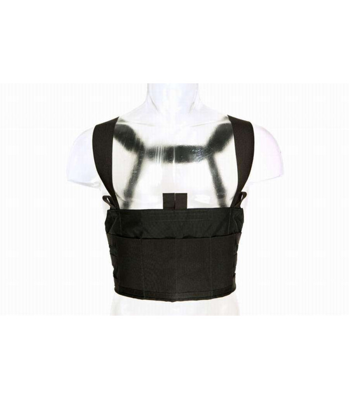 BLUE FORCE GEAR TEN-SPEED M4 CHEST RIG