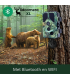 Camouflage, Trail Camera EZ45 WiFi