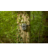 Camouflage, Trail camera EZ2-Ultra