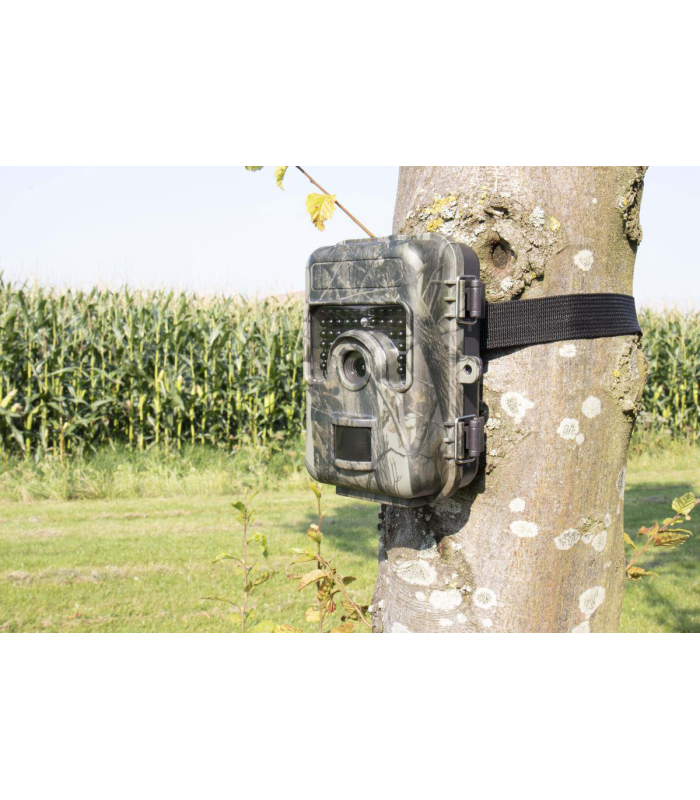 Camouflage , Trail Camera SM4-Pro