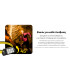 ΦΑΚΟΣ LED NITECORE HEADLAMP UT6, Color temperatures 100-mile trail running headlamp