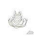 Armymania Elastic Bungee Straps | Sabotage Oddal