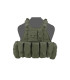 WARRIOR ASSAULT RICAS COMPACT M4 PLATE CARRIER OD GREEN