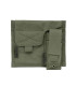WARRIOR ASSAULT RICAS COMPACT M4 PLATE CARRIER OD GREEN