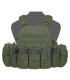 WARRIOR ASSAULT DCS G36 PLATE CARRIER OD GREEN