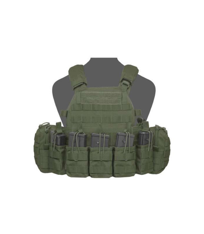 WARRIOR ASSAULT DCS G36 PLATE CARRIER OD GREEN