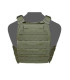 WARRIOR ASSAULT DCS G36 PLATE CARRIER OD GREEN