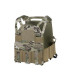 DIRECT ACTION HELLCAT LOW VIS PLATE CARRIER