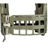 TASMANIAN TIGER PLATE CARRIER QR SK ANFIBIA