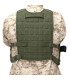 WARRIOR ASSAULT ELITE OPS BACK PANEL OD GREEN