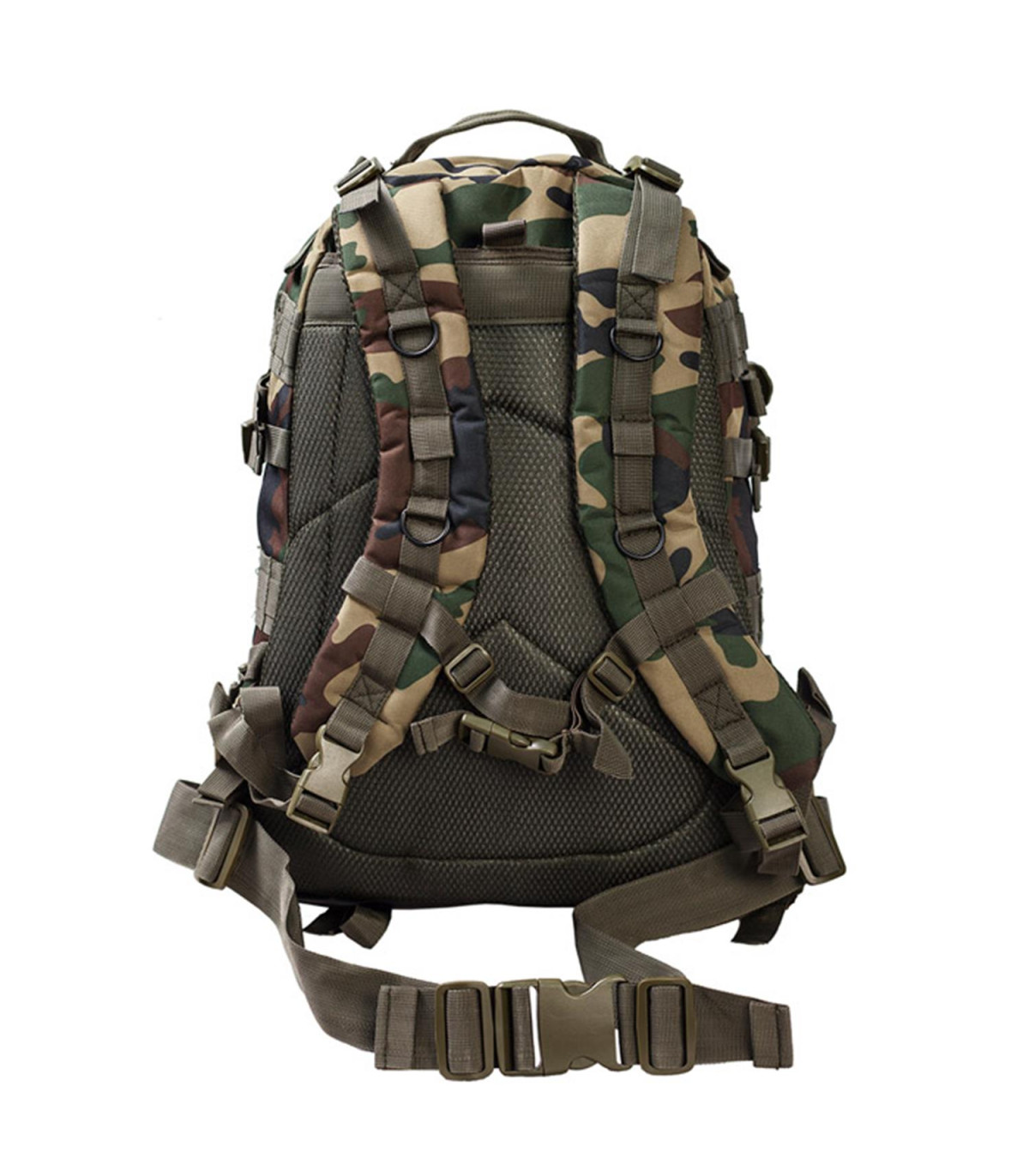 Σακίδιο πλάτης Παραλλαγής Woodland USA 55lt Survivors