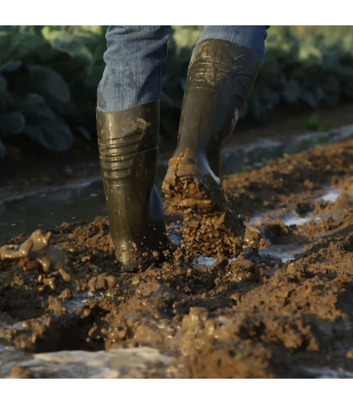 Μπότες γονάτου A-EXCELLIUM S5 πράσινες No45