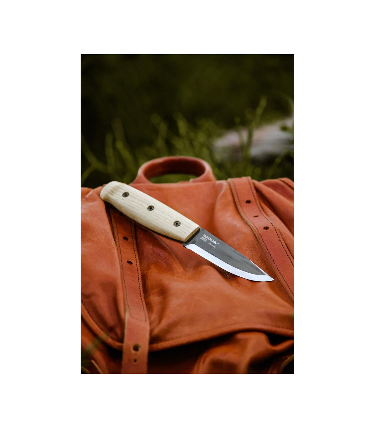 Morakniv Wit BlackBlade (S) - Ash Wood