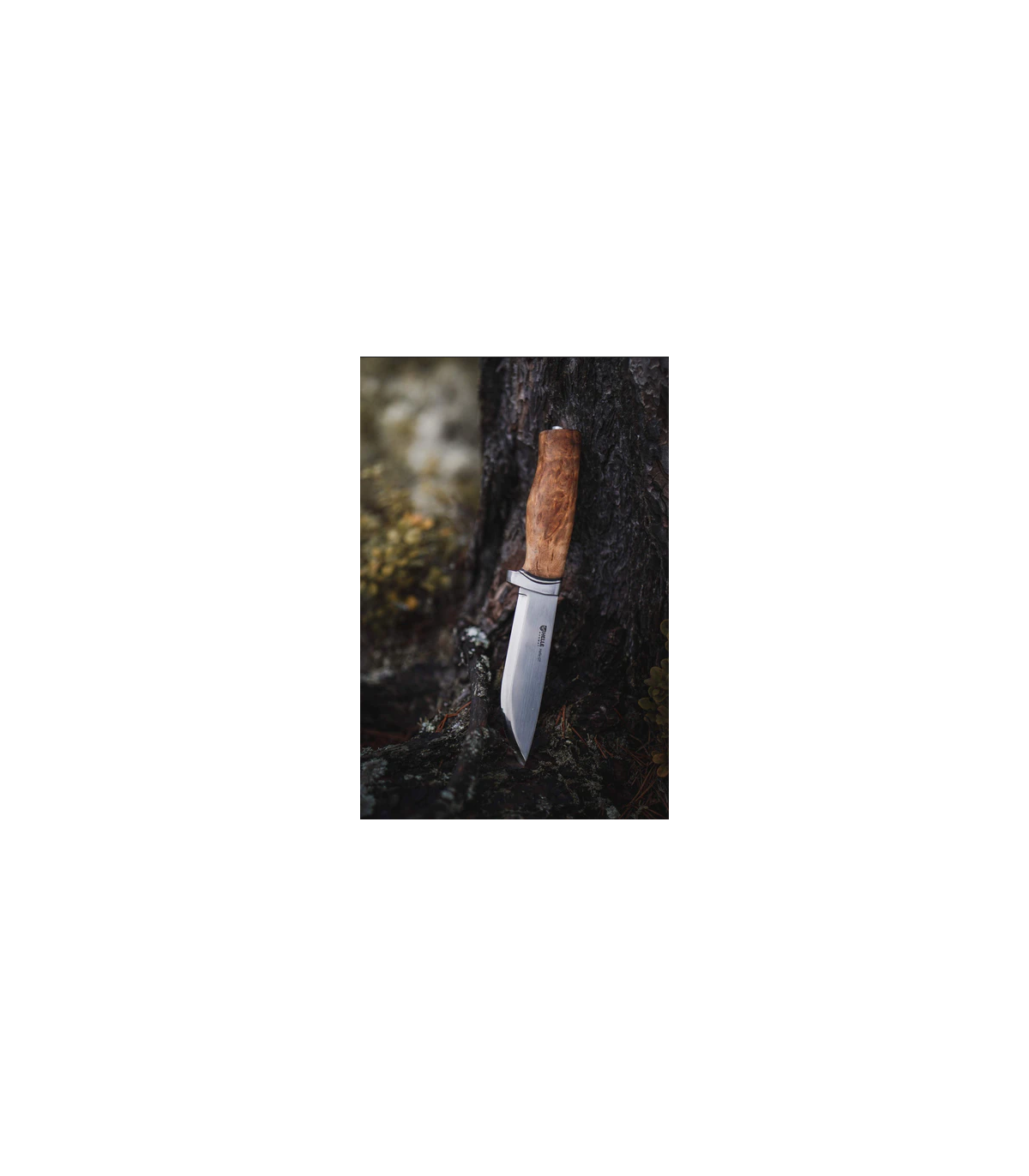Helle Temagami 14C28N