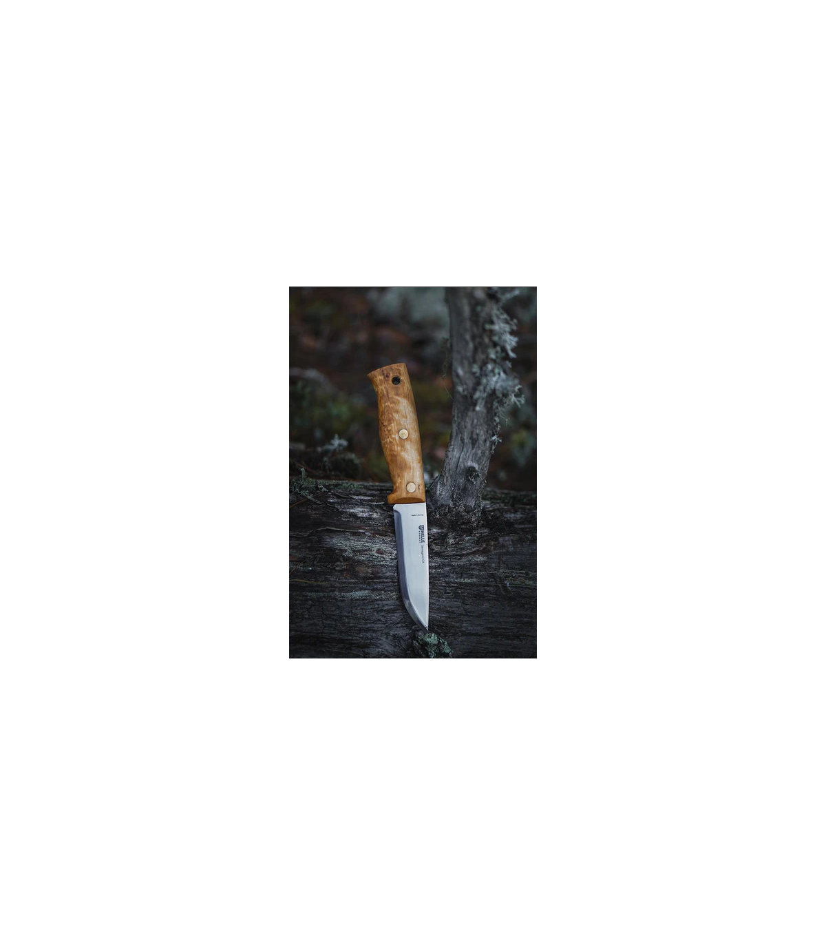 Helle Temagami 14C28N