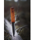 Helle Viking