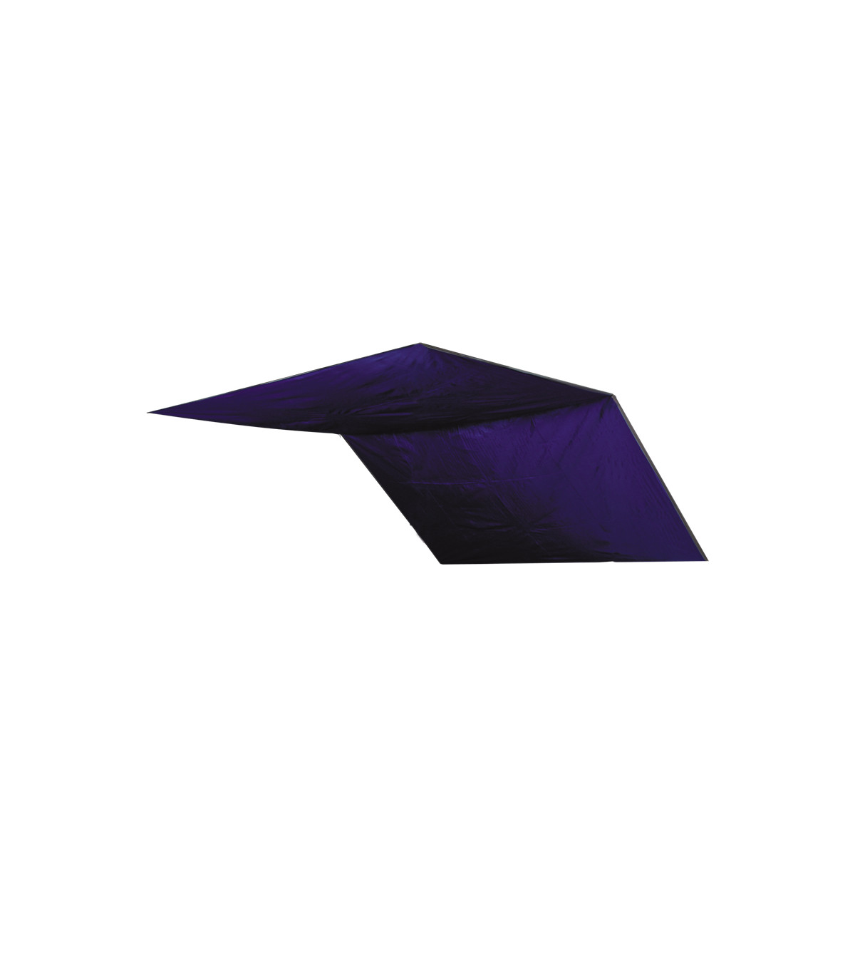 CANOPY IV 2X3cm