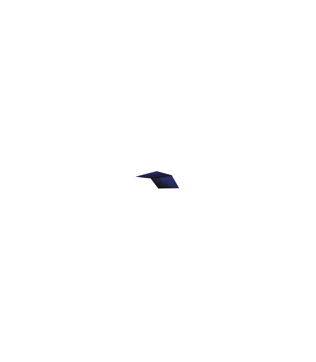 ΤΕΝΤΑ CANOPY ΙΙΙ 300Χ400