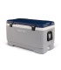 IGLOO MAXCOLD LATITUDE 100