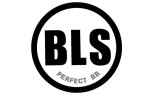 BLS PRECISION